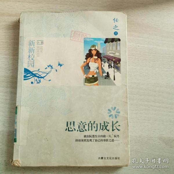 神秘的岛屿